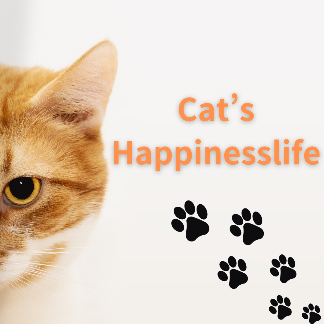 シニア猫の快適な生活をサポート！おすすめの猫用階段＆スロープを紹介 ...